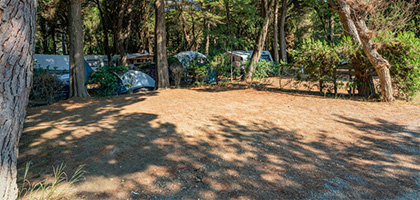 Emplacement de camping